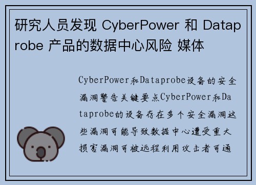 研究人员发现 CyberPower 和 Dataprobe 产品的数据中心风险 媒体
